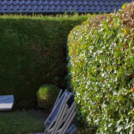 Inselblume 38 - Zentrale In Mit Garten